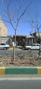 برنج سرای محمد