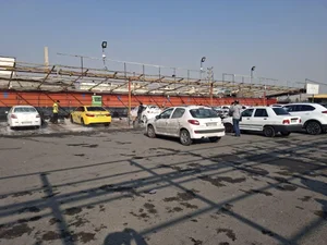 کارواش گلها 2