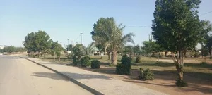 پارک 5