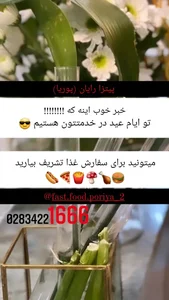 پیتزا رایان 2
