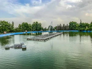 Mellat Park Lake