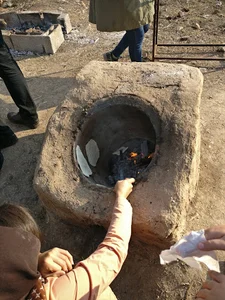 باغ لویزان