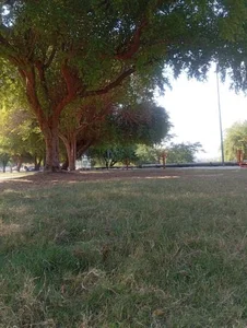 فضای سبز اسکله 2