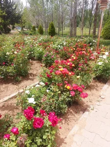 دانشکده کشاورزی 3