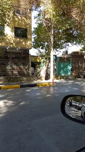 دان پرندگان