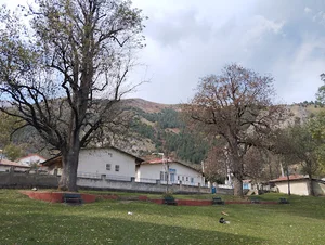 پارک جواهرده