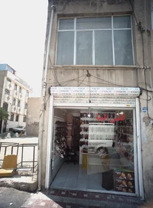 کفش الینا 2