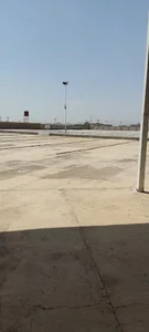 پسته داوری