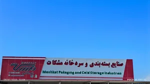 پخش و صادرات خرما شرکت مشکات در بم
