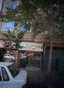 عطاری کاکتوس 2