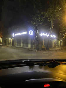 چرم جهانی استایل