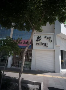 روسری پروانه 2
