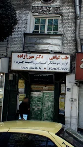 دکتر میرزازاده 2