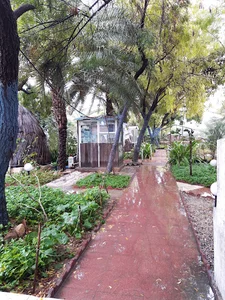 رستوران سنتی تارادیس