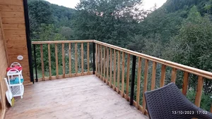 کلبه جنگلی طبیعت