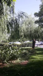 بوستان نژاد فلاح 4