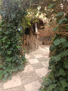 رستوران باغ اعیونی 3