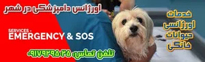 کلینیک دامپزشکی شیراز