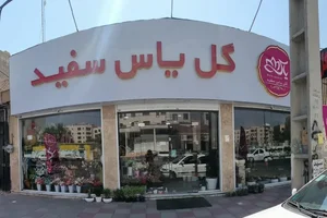 گل فروشی یاس سفید 2