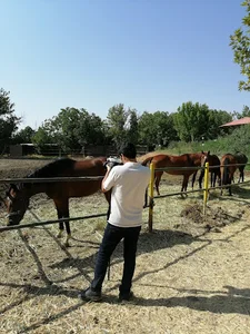باشگاه سوارکاری هوشمند