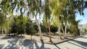 فضای سبز