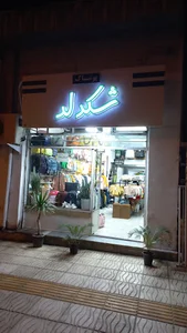 بچه گانه و زنانه شکرلر