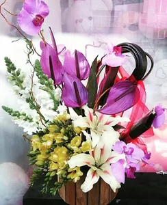 گل فلورانس 2