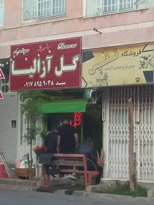 گل آزالیا 5