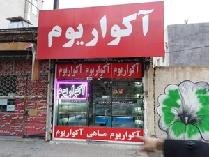 آکواریم آبنوس 3