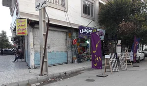 گلفروشی ونوس 3