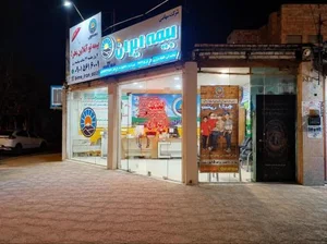 بیمه ایران نمایندگی عزیزی 4