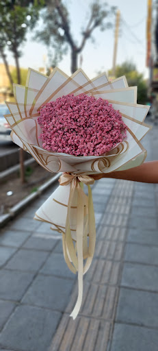 گلفروشی آرالیا