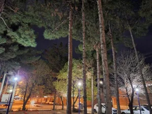 بوستان محلی 5