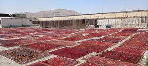 قالیشویی استقلال 5
