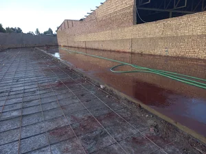 کارخانه کاشی فخار رفسنجان