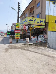 سوغات شمال_زیتون ارشد