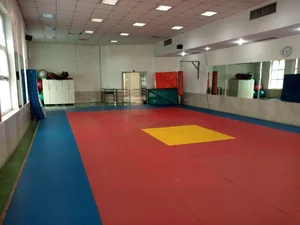 باشگاه هون کیوکوشین آفتاب