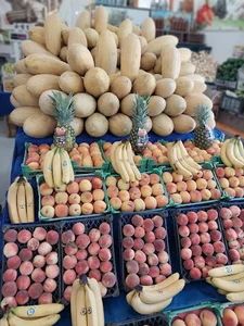 سوپر میوه تک بناب