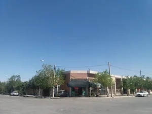 فروشگاه میوه و سبزیجات شادی
