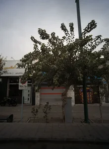 نمایشگاه و فروشگاه آسانسور داتیس 2