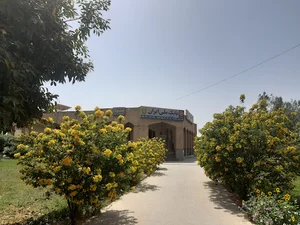 بانک ملی