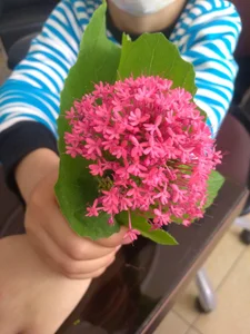 گفتاردرمانی یارا