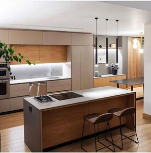 کابینت نارون پناجاه
