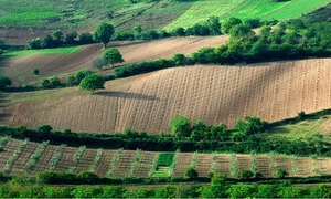 زمین های منابع طبیعی