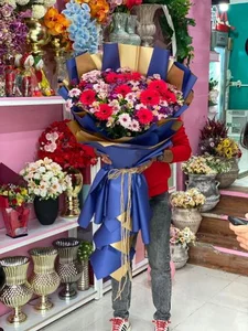 آناگل