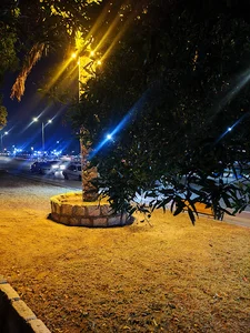 پارکینگ قایق‌ها حسین‌آباد