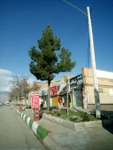 اتوموبیل تیکاف