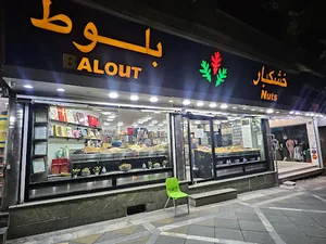 خشکبار بلوط