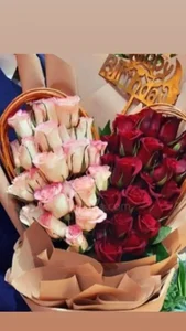 گل رزا 5