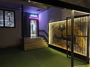 کافه بازی ریشه